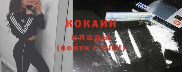 a pvp Пересвет